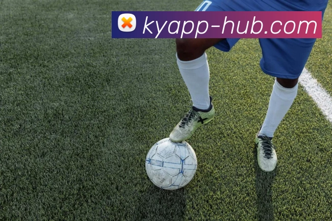 开云平台展示图